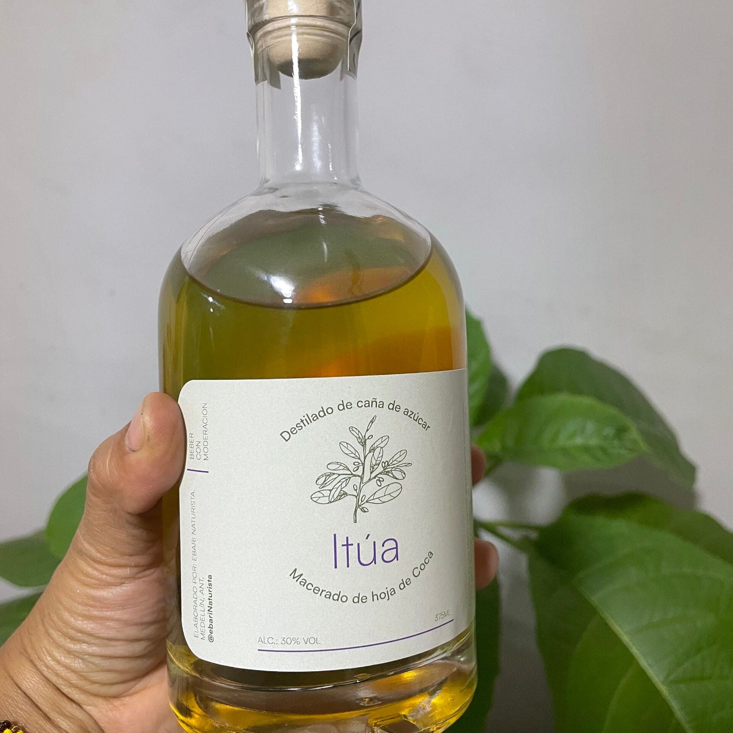 Itúa- Destilado con coca