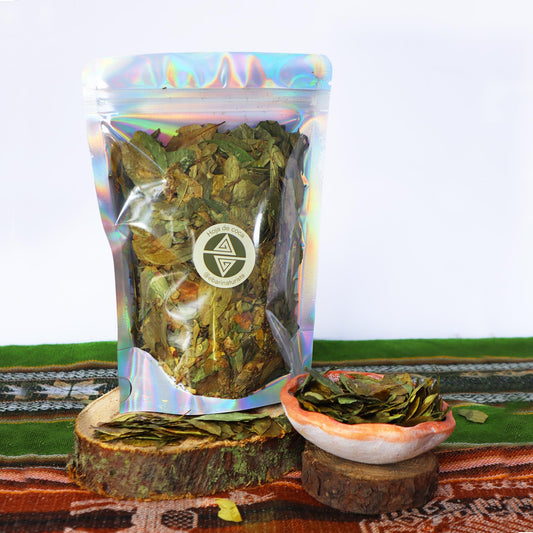 Hoja de coca- Medicina ancestral natural | Ebari Naturista